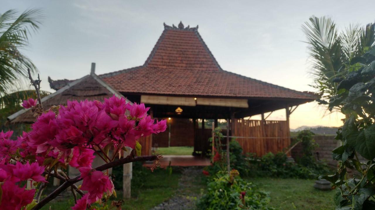 فندق بولوكانفي  Bali Tiger Hideaway المظهر الخارجي الصورة