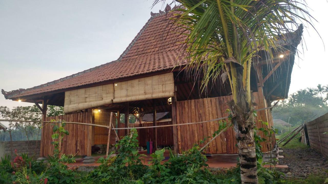 فندق بولوكانفي  Bali Tiger Hideaway المظهر الخارجي الصورة
