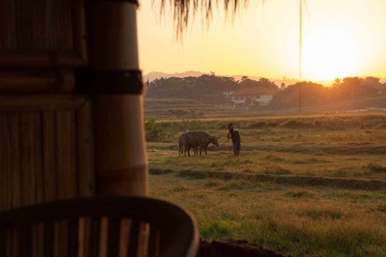 فندق بولوكانفي  Bali Tiger Hideaway المظهر الخارجي الصورة