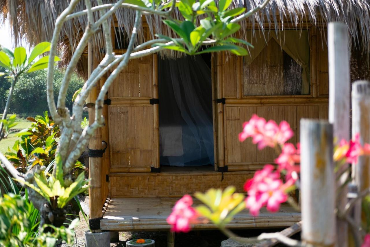 فندق بولوكانفي  Bali Tiger Hideaway المظهر الخارجي الصورة