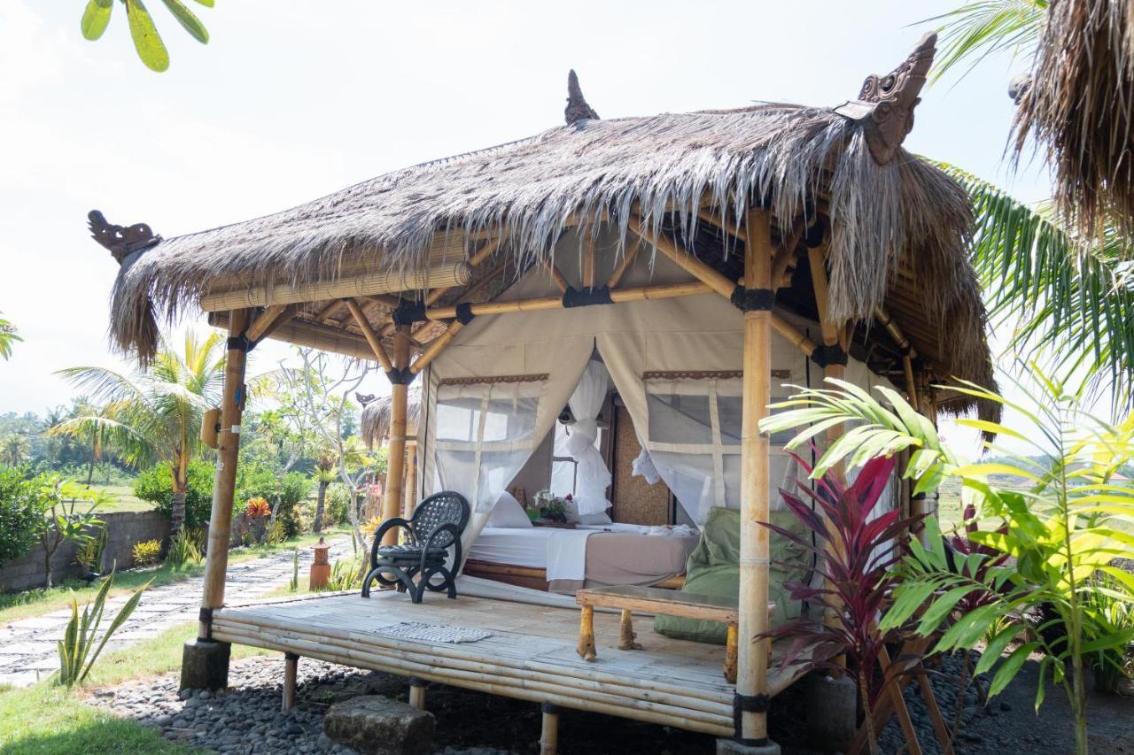 فندق بولوكانفي  Bali Tiger Hideaway المظهر الخارجي الصورة